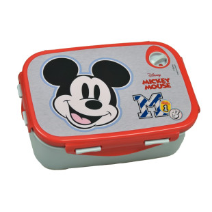 Mickey mouse lunch boxes online