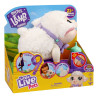 Interactive toy - Franki the little lamp Little Live Pets