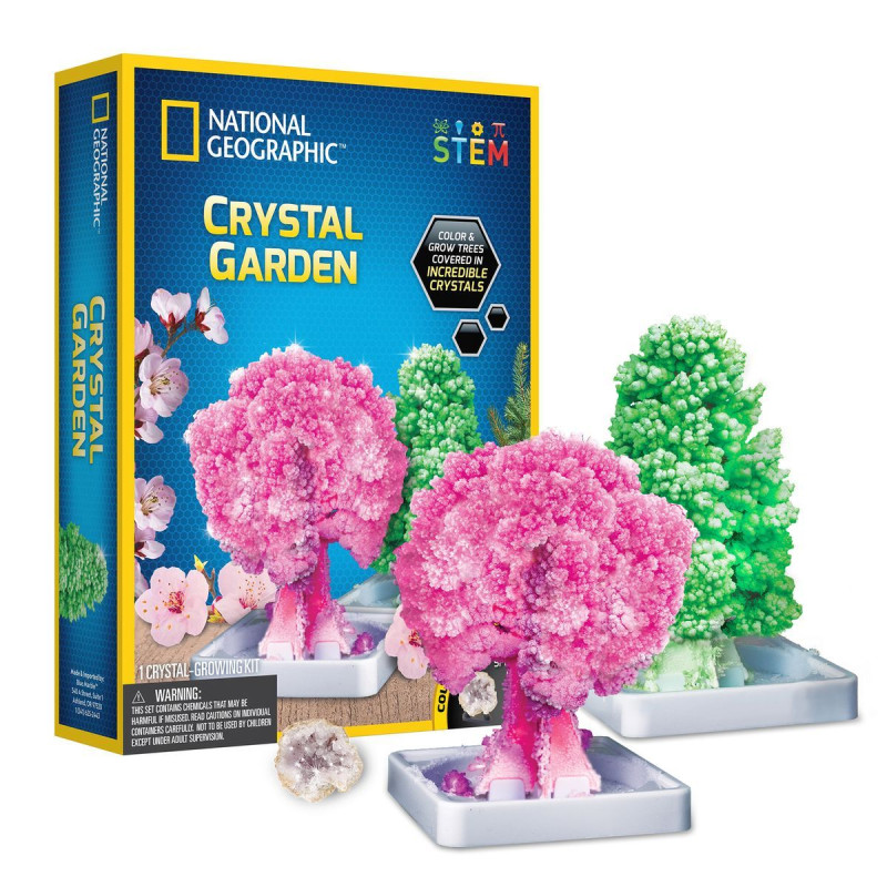 Set Crystal Garden National Geographic (8+ years)