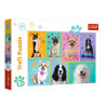 Puzzle Trefl Dogs 100pcs (5+ years)