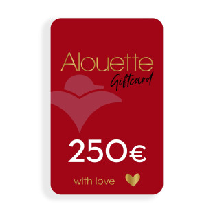 Gift card 250 euros