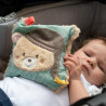 Cuddly pillow with removable heat/cold bag 15x15cm (0+ months)