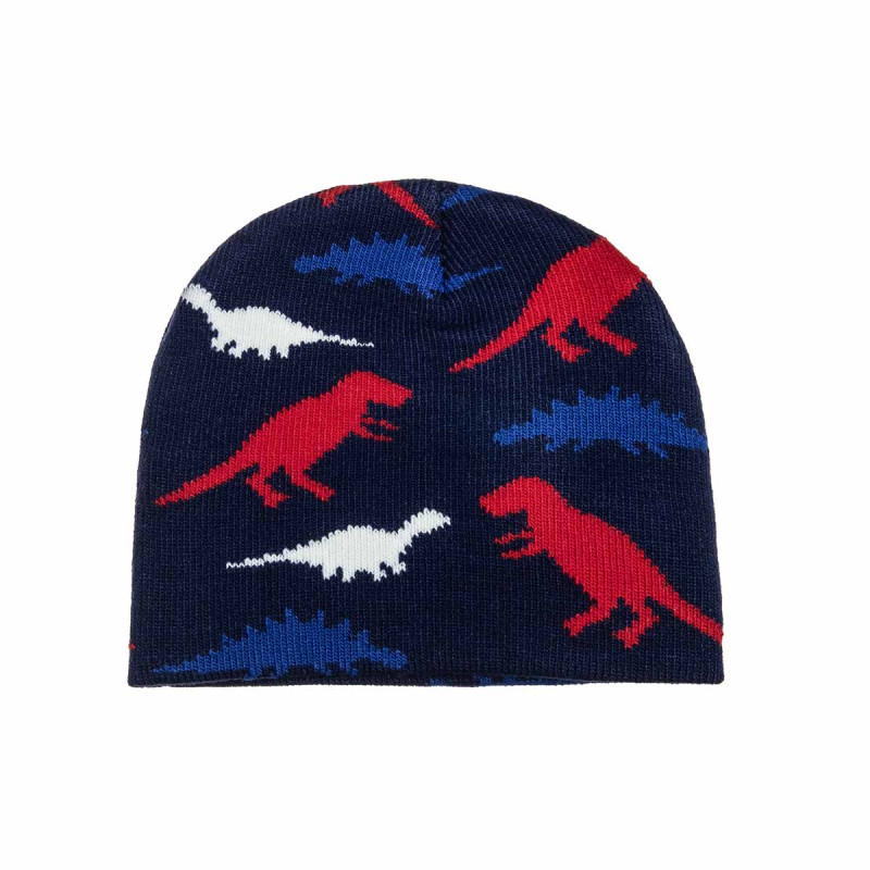 Beanie with dino print one size (9 months-4 years)